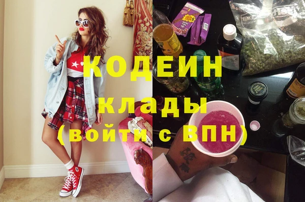 мет Алексин