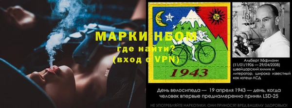 гидропоника Алзамай