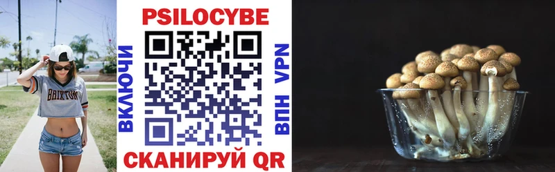 Псилоцибиновые грибы Psilocybine cubensis  Дрезна 